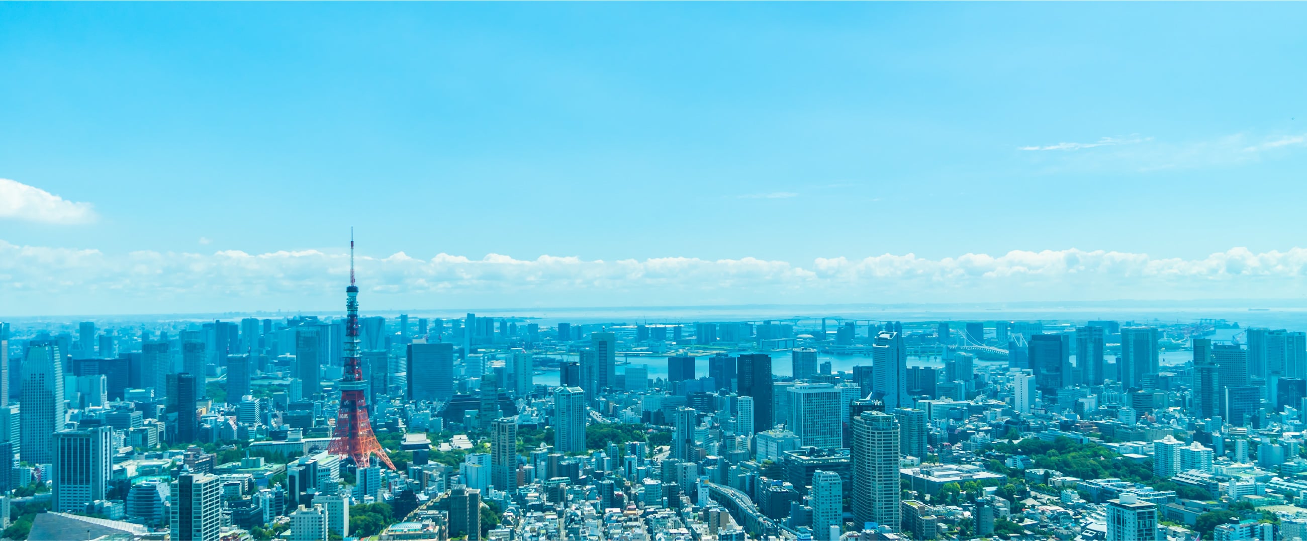 FPが不動産業界を変える｜株式会社FREX